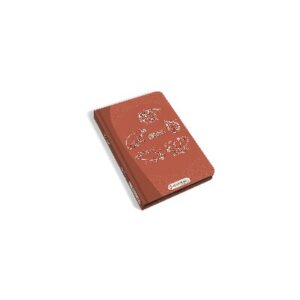 KIDYWOLF kidydraw mini tavoletta digitale dinosauri