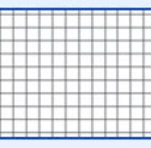 10 QUADERNI (3440kg) QUADRETTI 5MM SENZA MARGINE FEMMINA